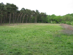 Kampeerveld